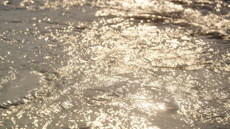 reflejos de la luz del sol en el agua