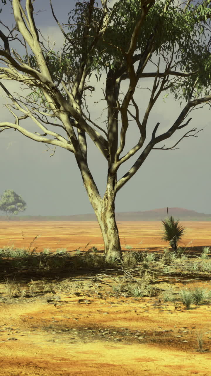 Vast arid landscape featuring a solitary tree against a cloudy sky