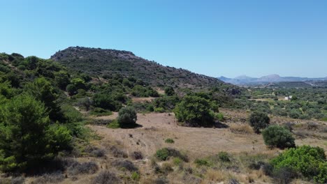 Wildfire-remains-and-green-Forest-in-Rhodes-with-seaside-in-the-background-in-Greece-during-the-summer-filmed-with-the-drone-in-4K