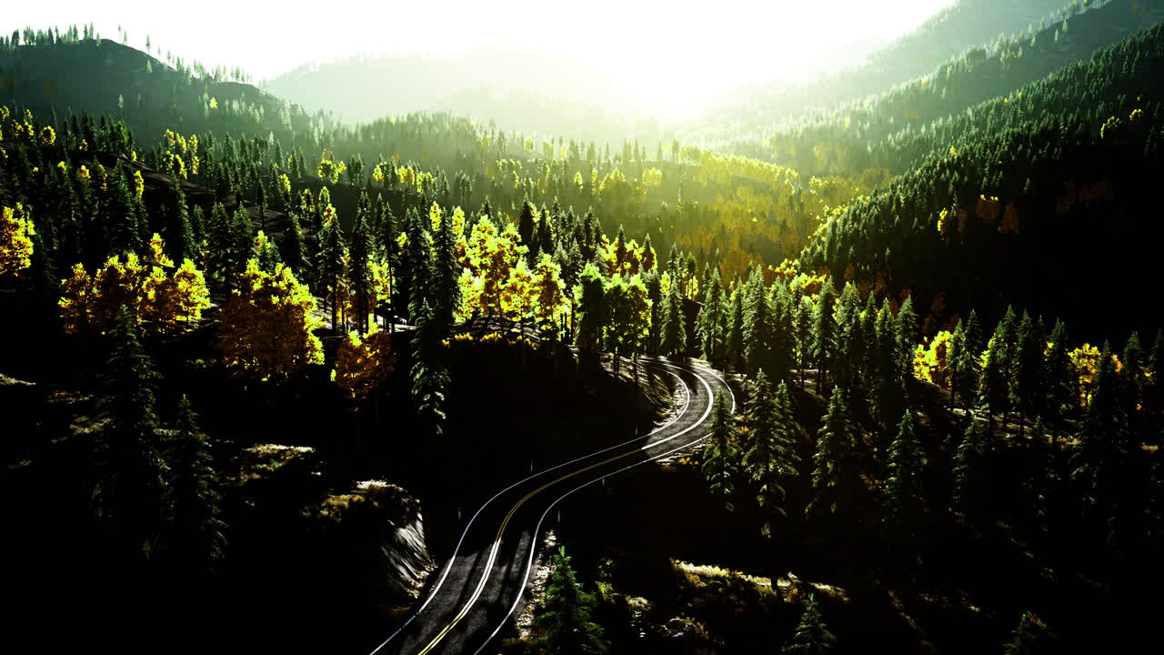 Winding train tracks in a vibrant forest at golden hour