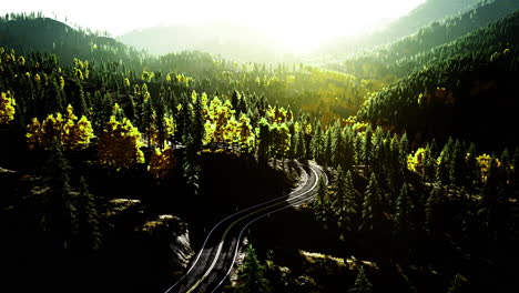winding train tracks in a vibrant forest at golden hour
