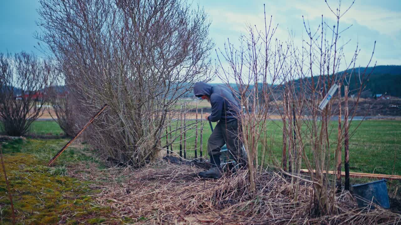 Person Pulling Wheelbarrow And A Rake Working In The Yard. Static Shot