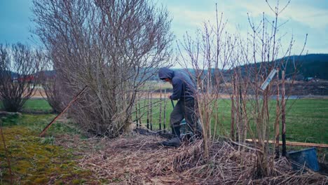 person pulling wheelbarrow and a rake working in the yard. static shot