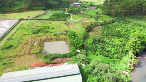 aerial view tilt of the river and the greenhouses in lam dong