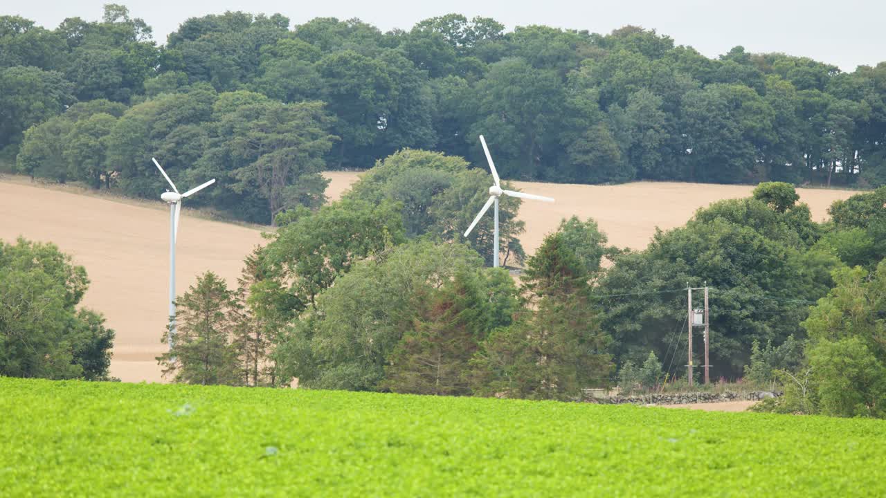 Two wind turbines spin in a green field with trees, daylight, and steady camera framing