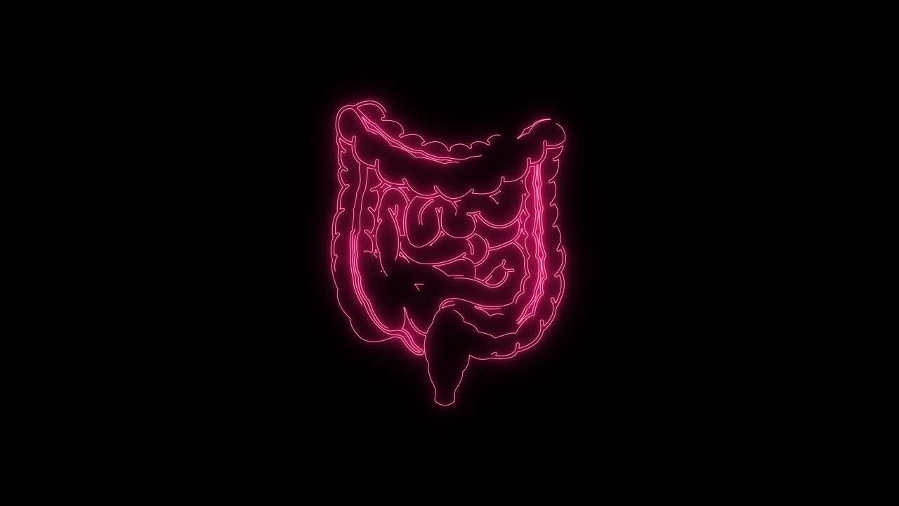 Contorno animato di intestino umano rosa neon su sfondo nero