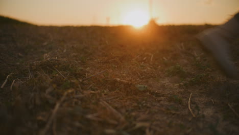 caminando en un campo al atardecer