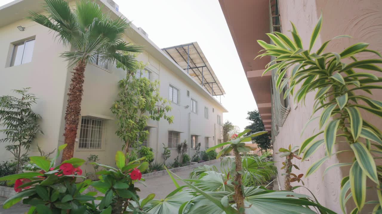 A hospital building in Arabic style with a palm tree in the courtyard