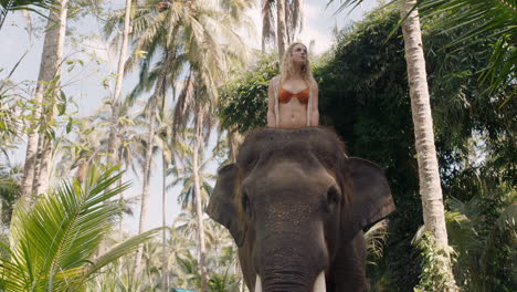 beautiful woman riding elephant in jungle exploring exotic tropical forest having fun adventure with animal companion 4k