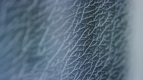 abstract network pattern texture
