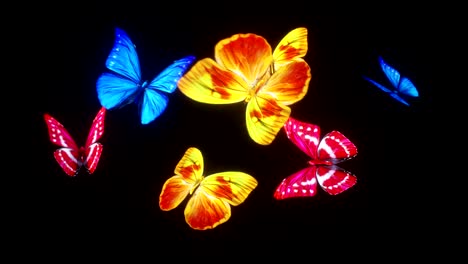 animación en 3d de un hermoso fondo de mariposas