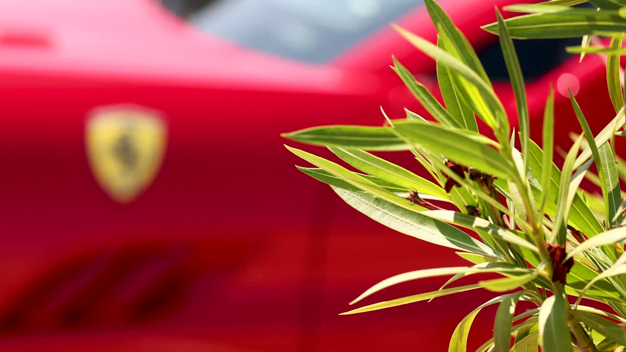 앞면 에 초록색 식물 이 있는 은 페라리
