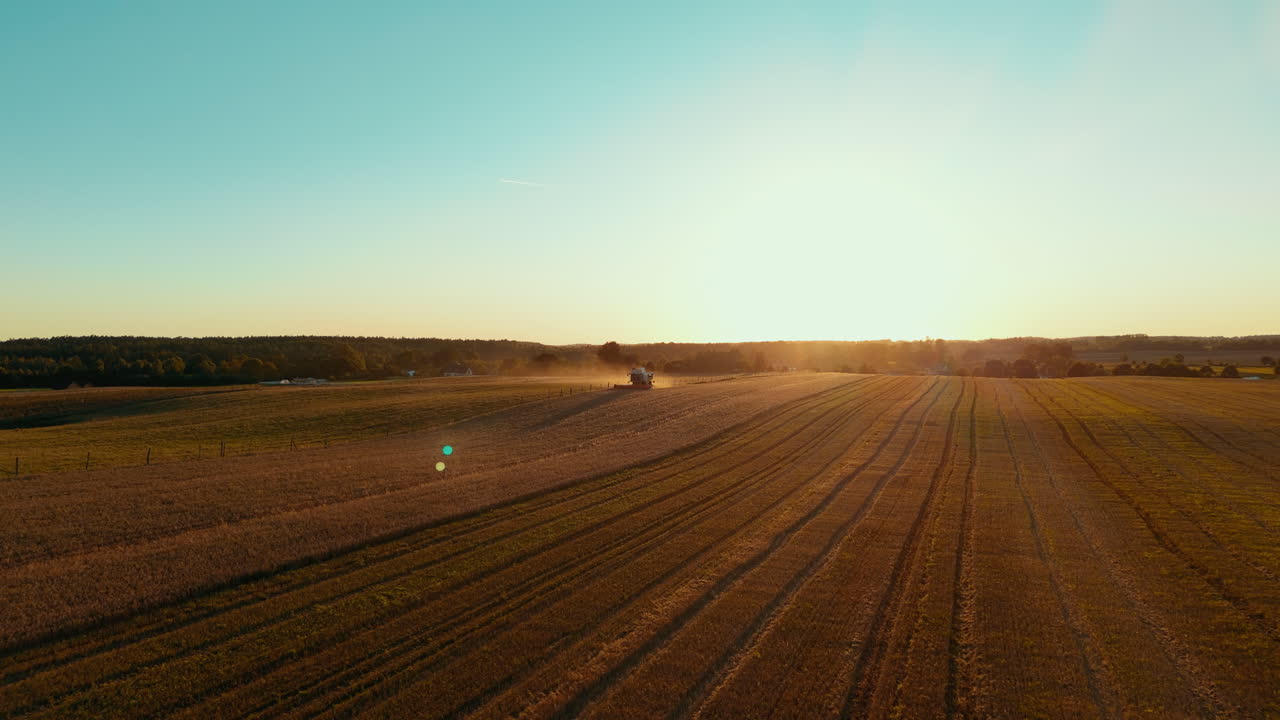 Goldene Ernte bei Sonnenuntergang in der polnischen Landschaft Zeitlupe