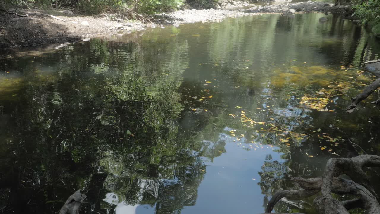 Serene Water Of Emmagen Creek Swimming Hole In Daintree National Park, Cape Tribulation, Queensland, Australia