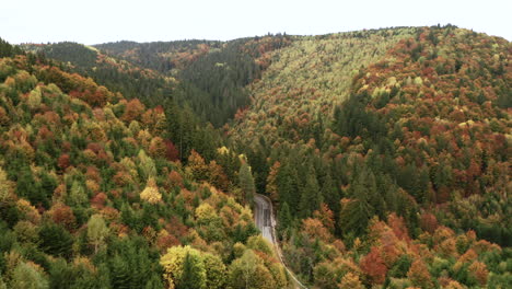 Vista-Aérea-Del-Bosque-Mixto-De-Otoño-Con-Un-Camino-Sinuoso-En-El-Medio,-Caída-De-Drones-Mientras-Vuela-Hacia-Arriba