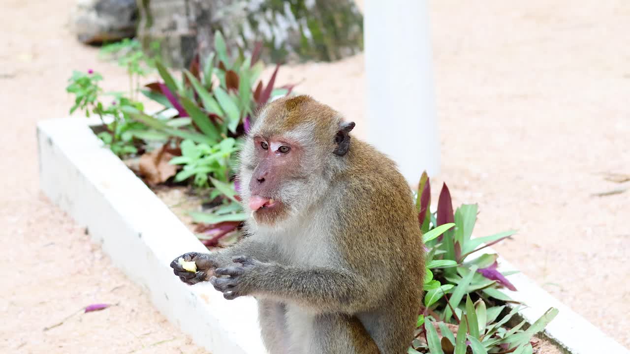 원이는 정원 자리 근처에서 음식을 즐긴다