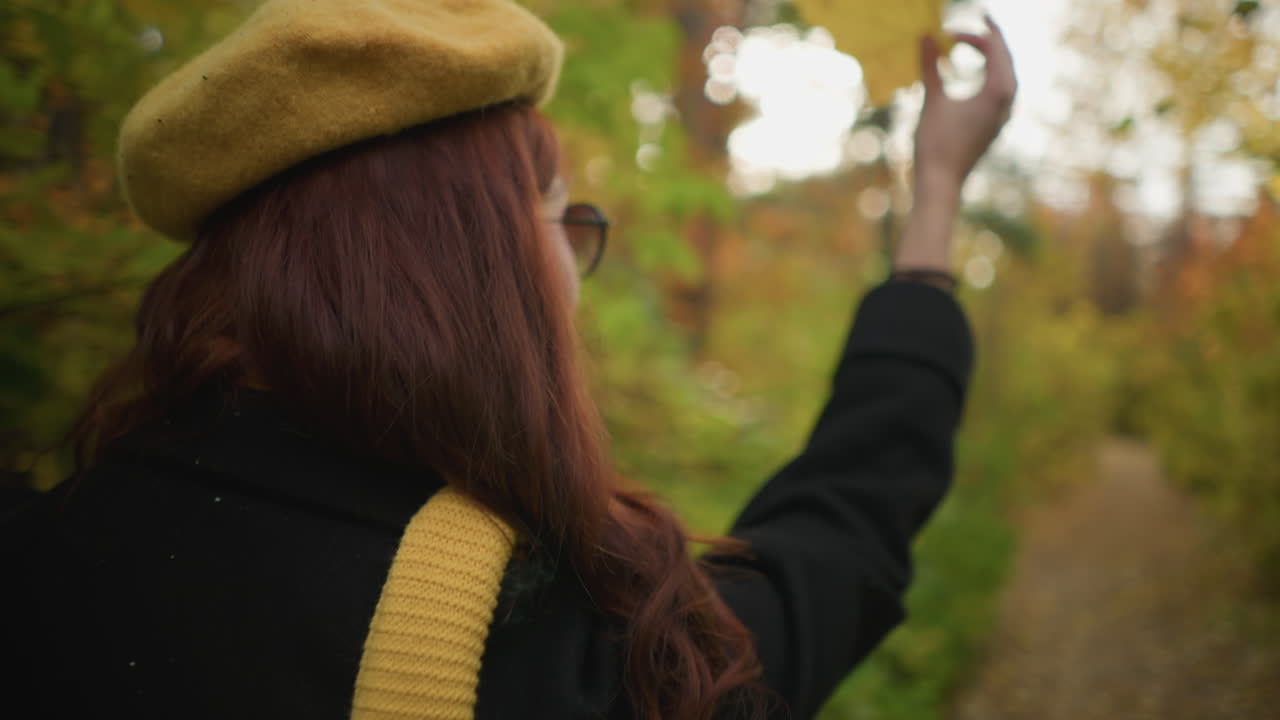 노란색 베레트와 검은색 코트를 입은 여인이 숲길을 고, 빛이 그녀를 둘러싸고 실루 효과를 일으키는 가을 잎을 장난스럽게 들고 있는 가까운 뒤의 모습