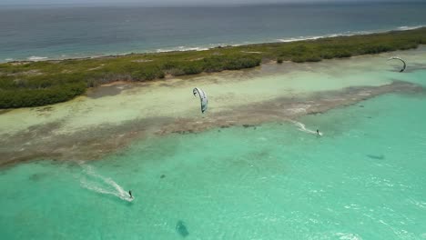 aerial approach kitesurfer using white kite on flat water near tropical mangrove in salinas los roques