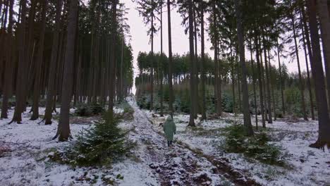 Chica-Con-Una-Gruesa-Chaqueta-De-Invierno-Camina-Por-Un-Sendero-Forestal-Cubierto-De-Nieve