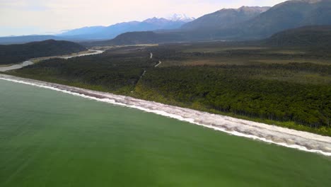hermoso océano y vasto paisaje de bosque verde cerca de la playa maori, nueva zelanda - fotografía aérea