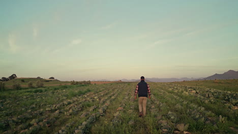 granja, naturaleza y espalda de la persona caminando en el campo