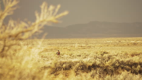 Cazador-Caminando-En-La-Distancia-En-Un-Desierto-Iluminado-Por-El-Sol-De-Matorrales