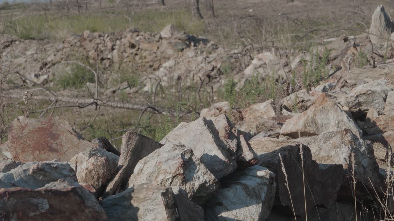 Muri in pietra nei boschi