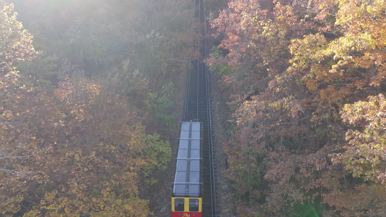 형형색색의 단풍나무 사이로 전망대 산을 천천히 오르는 경사열차를 보여주는 항공 영상