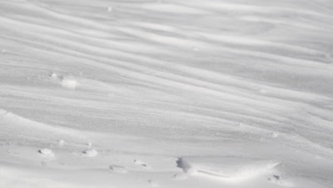 real time shot of a hillside completely covered in a thick layer of snow