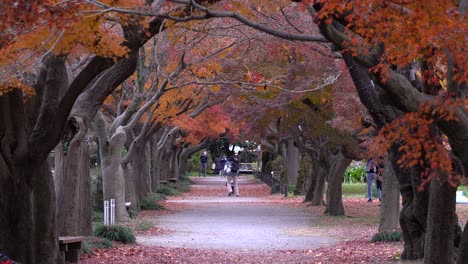 Mother-and-child-playing-together-inside-Fall-color-public-park---long-shot