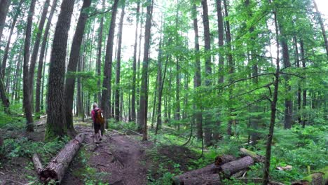 Mature-woman-walking-through-the-forest-4k