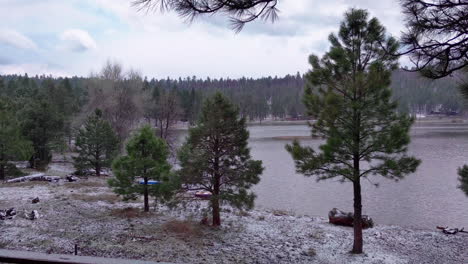calm lake surrounded by evergreen trees with snow lightly falling