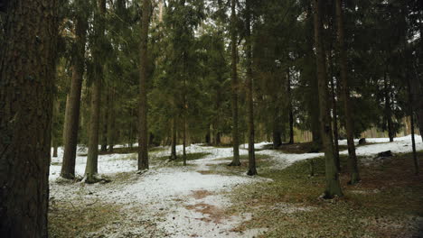 Ogro-De-Letonia-En-El-Mes-De-Febrero