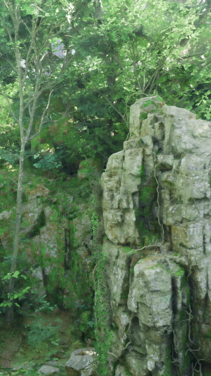 Splendido paesaggio roccioso ricoperto di vegetazione in un ambiente sereno