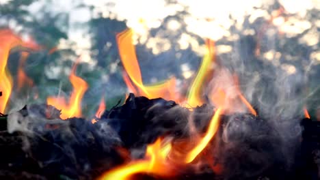 llama de cámara lenta fuego y smog está quemando basura o residuos en fondo oscuro