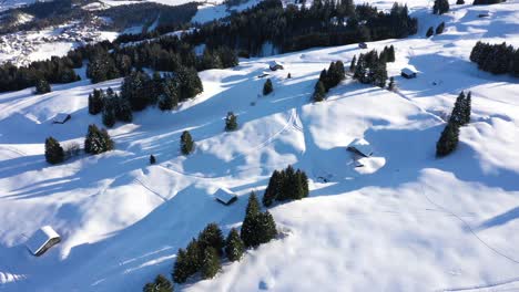 Aerial-top-view-of-snowy-forest-and-winter-in-mountains-and-famous-winter-ski-resort-aerial-view