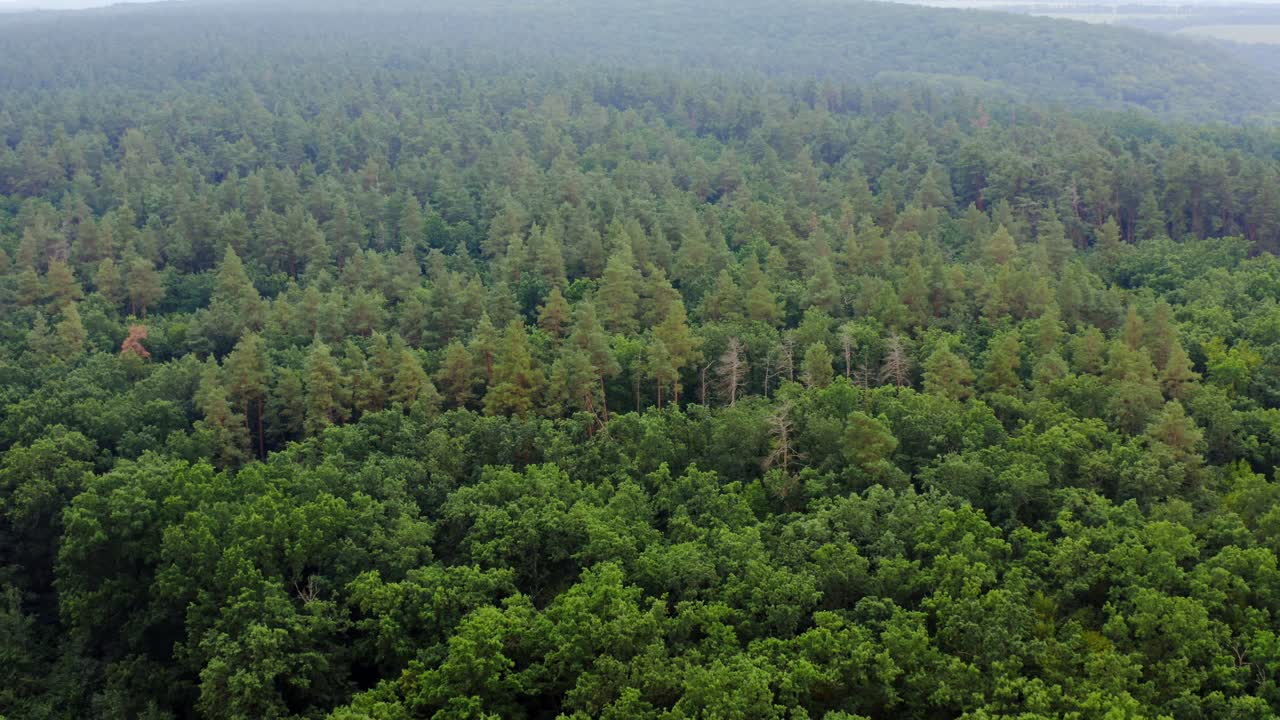 Aerial top view forest tree. Ecosystem and healthy environment concept and background. Texture of green tree forest view from above. Video from dron.