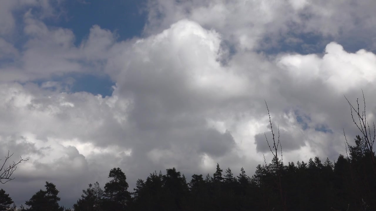 Time Lapse of Clouds Moving Over a Forest Canopy