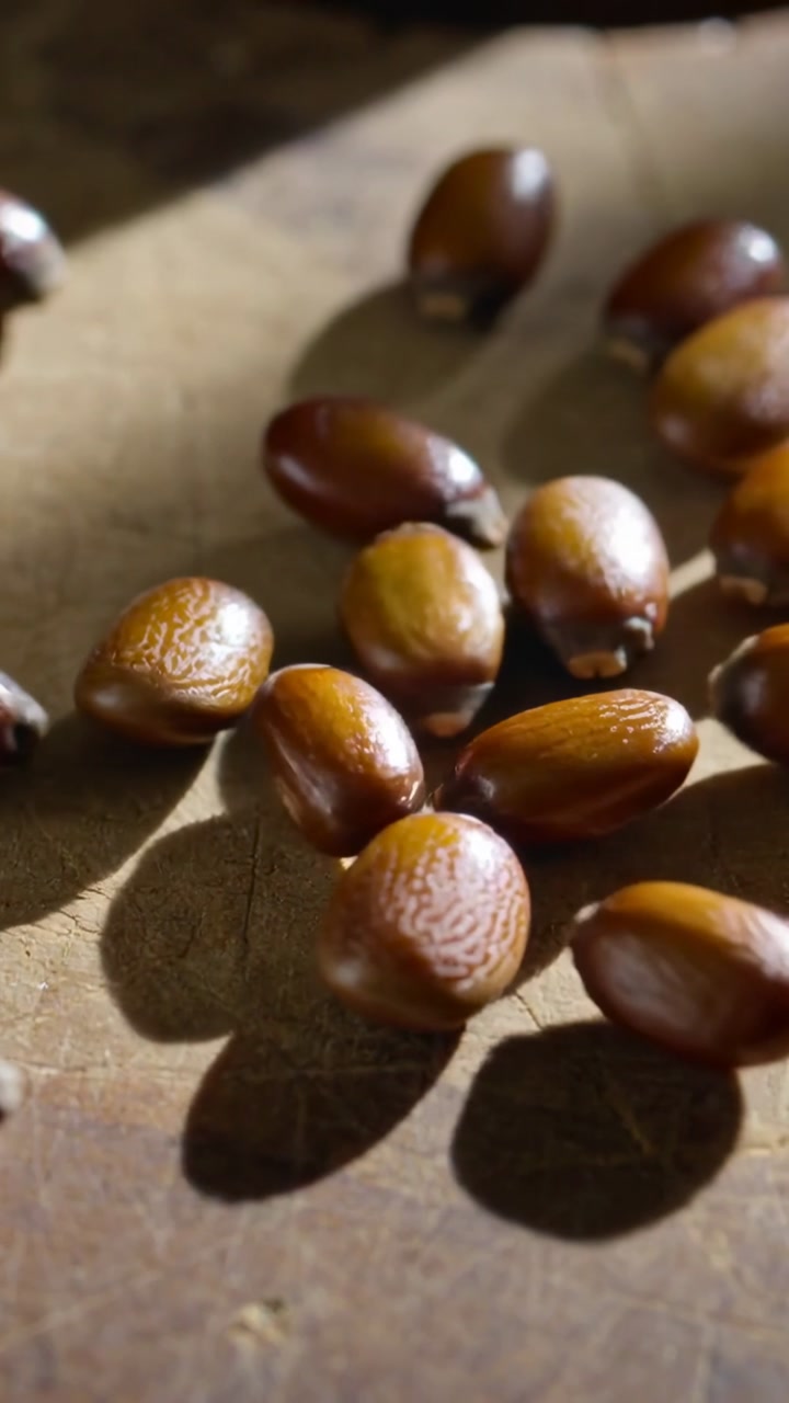 Vertical video: Entering frame glossy brown seeds forming pile on wooden board under warm light