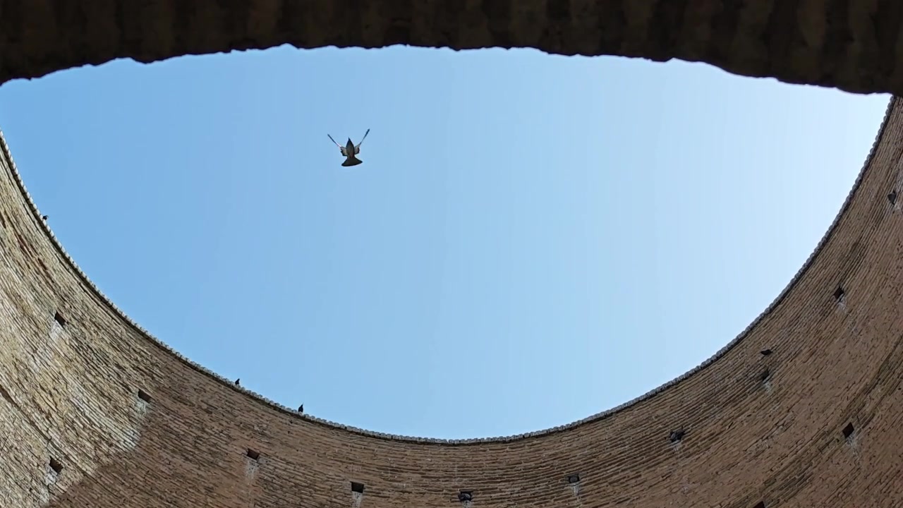 Pigeons Flying Inside an Ancient Circular Brick Structure