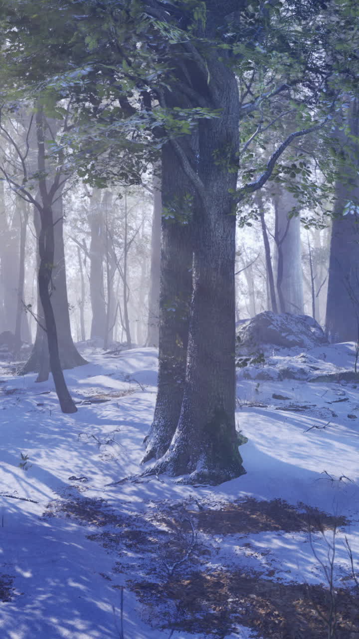 Majestic winter landscape with sunlight filtering through snowy trees