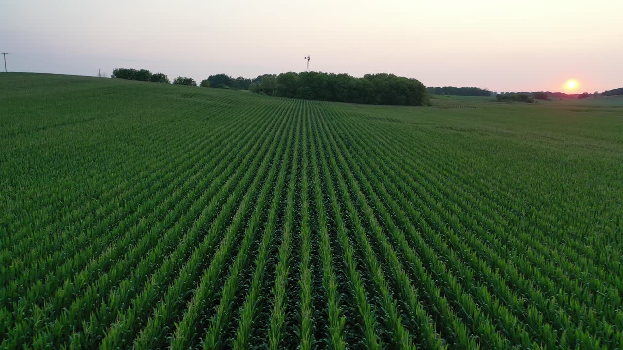 Paesaggio rurale con mulino a vento al tramonto
