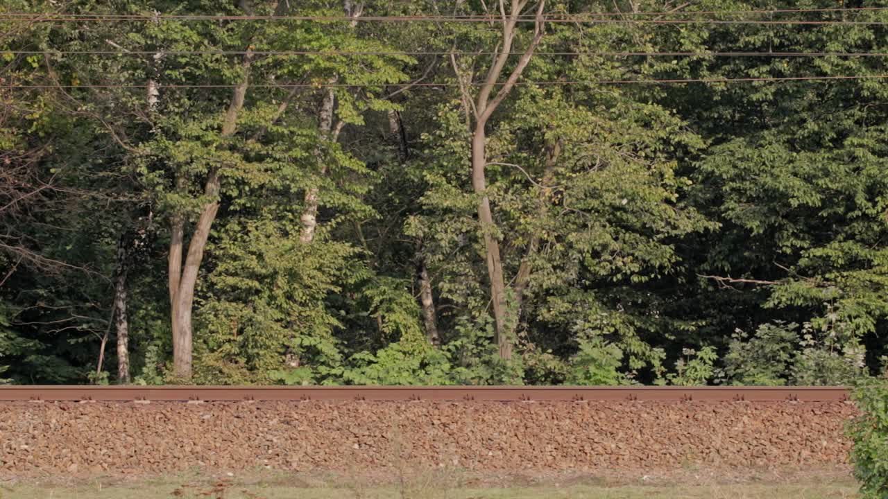 Train Passing by on a Sunny Day