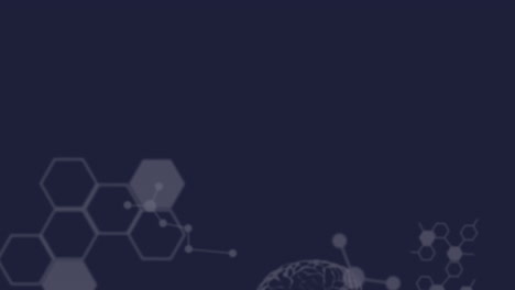 animación de moléculas y cerebros humanos flotando con el procesamiento de datos