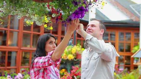 couple looking at hanging basket