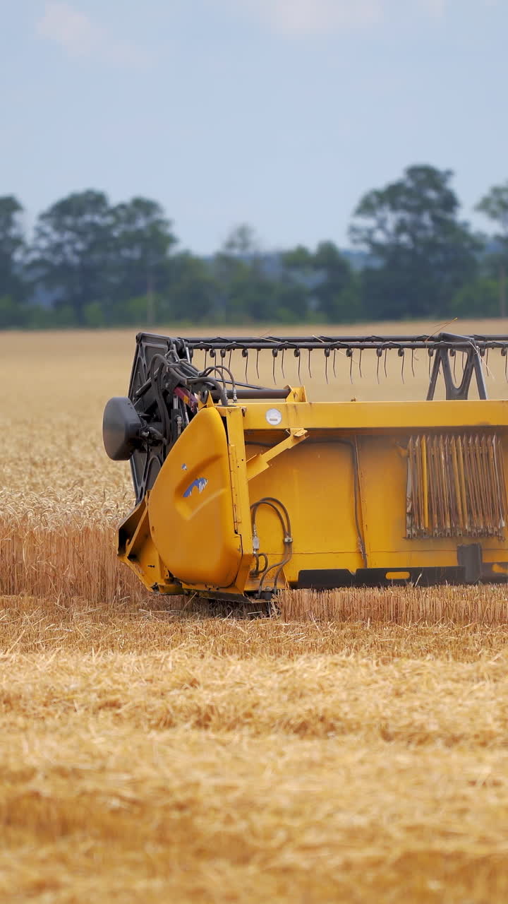 cosechadora combinada trabajando en un campo de trigo