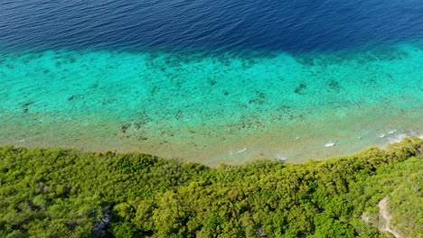 Tropical-sheer-cliff-and-blue-sandy-coral-reef-with-deep-blue-drop-off-into-ocean,-drone-top-down-overview
