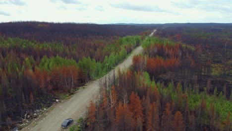 Panoramic-View:-Aftermath-of-Quebec-Firestorm-Revealing-Burnt-Trees-and-Road