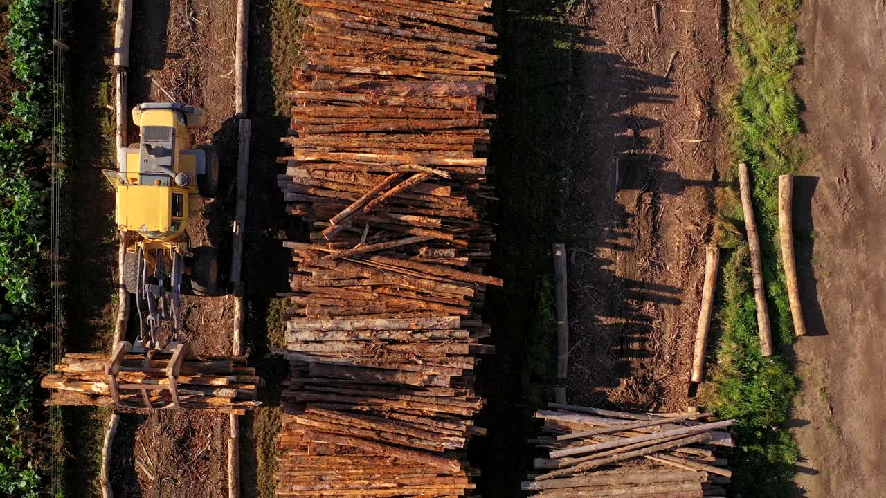 Directly above a big wheel loader storing logs in a timber yard, aerial shot