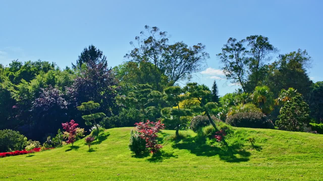 Upper Brittany Botanic Park with green lawn and scattered blooming bushes on sunny day, Brittany, France.